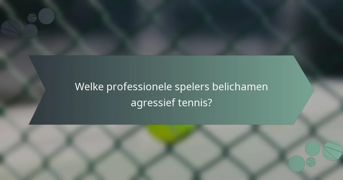 Welke professionele spelers belichamen agressief tennis?